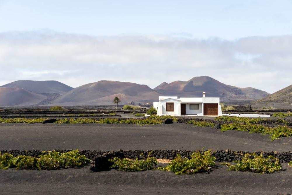 Glöm allt du vet om vin - Spanska vin kommer att överraska dig!